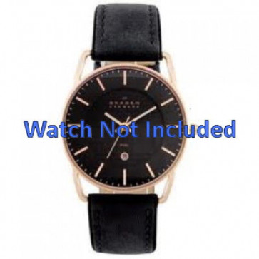 Skagen watch strap 241LRLB